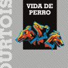libro vida de perro