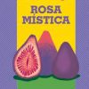 libro rosa mistica