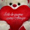 libro solo te quiero como amigo