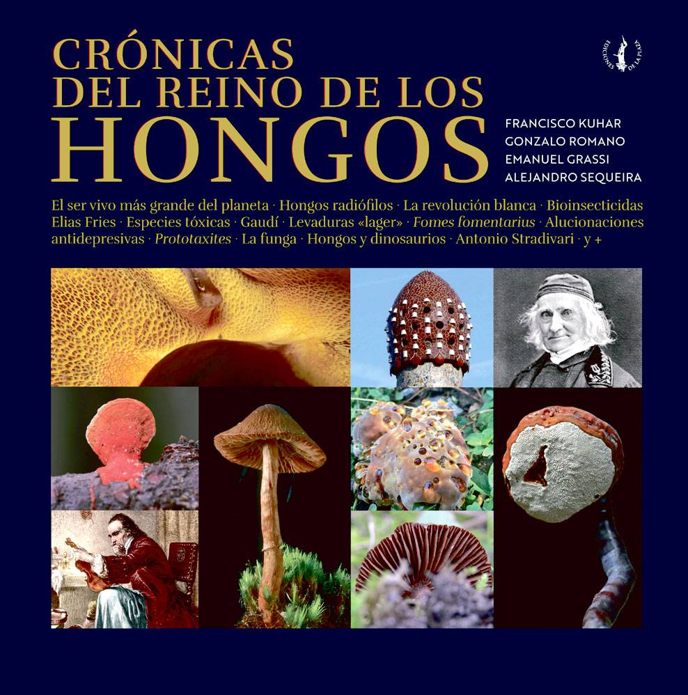 CRONICAS DEL REINO DE LOS HONGOS FRANCISCO KUHAR, SEQUEIRA Y OTROS