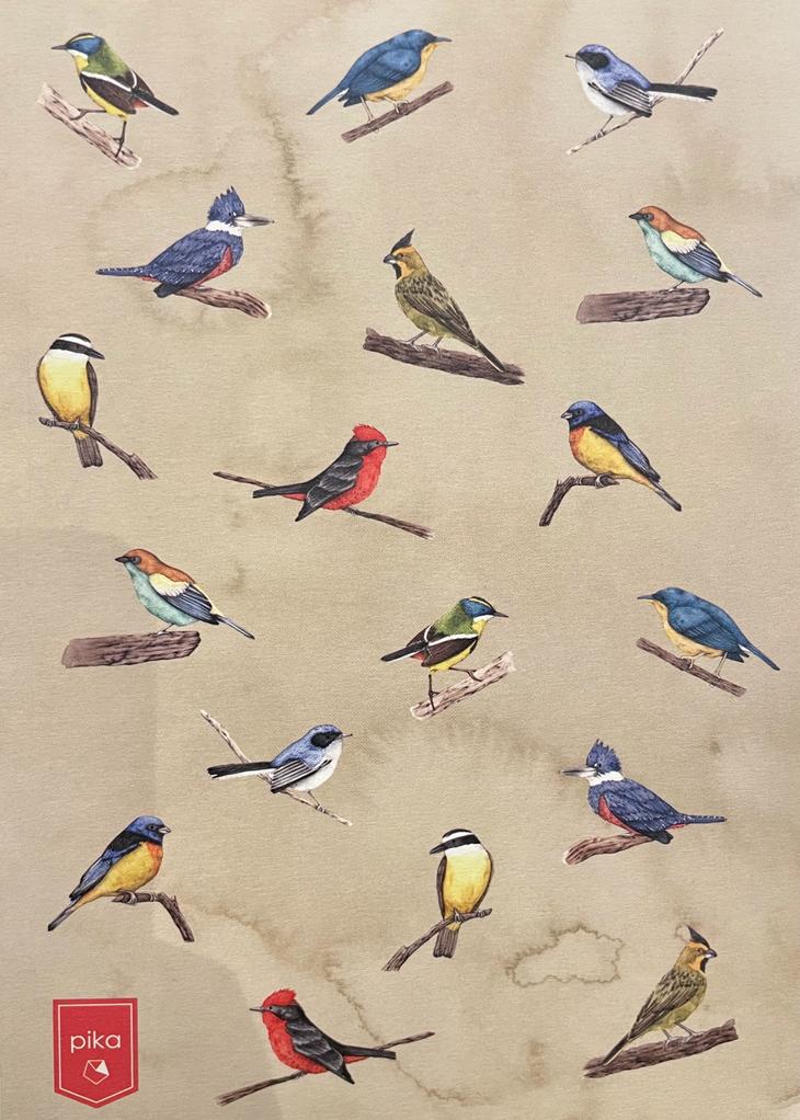 LIBRETAS PIKA PAJAROS, CUADERNO AVES DEL URUGUAY PIKA EDITORIAL